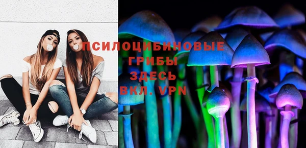 шишки Армянск